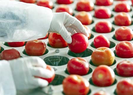 ozone-treatment-for-food-processing-industry